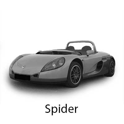 Spider