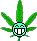 :weed